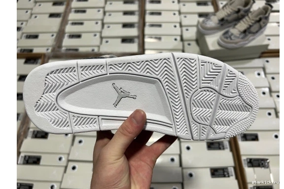 Retro  Snakeskin  819139-030 819139-030 Jordan 4  0923